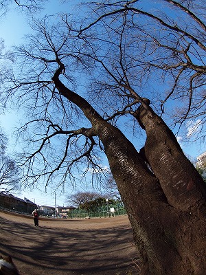 b0180764_23265072.jpg