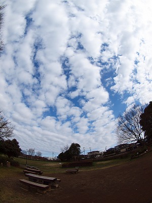b0180764_233157.jpg