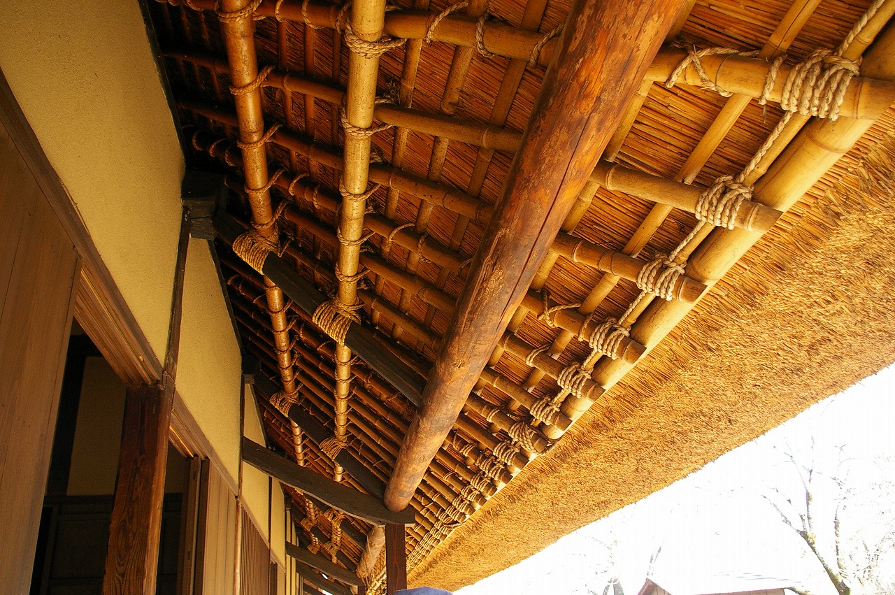 d0031171_1115979.jpg