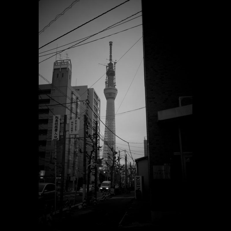 c0118173_15341663.jpg
