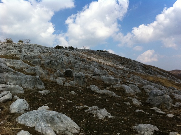 d0226273_2311938.jpg