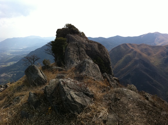 d0226273_2325233.jpg
