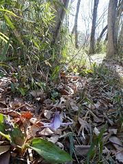 b0004675_18114237.jpg
