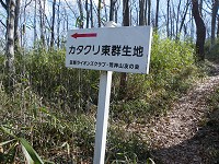 b0004675_18122151.jpg