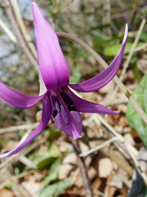 b0004675_18133368.jpg