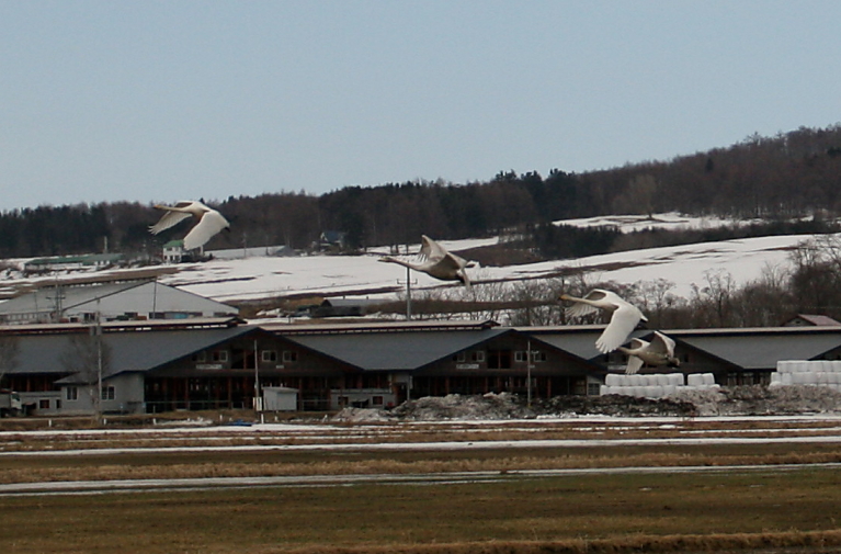 c0112479_2238060.jpg