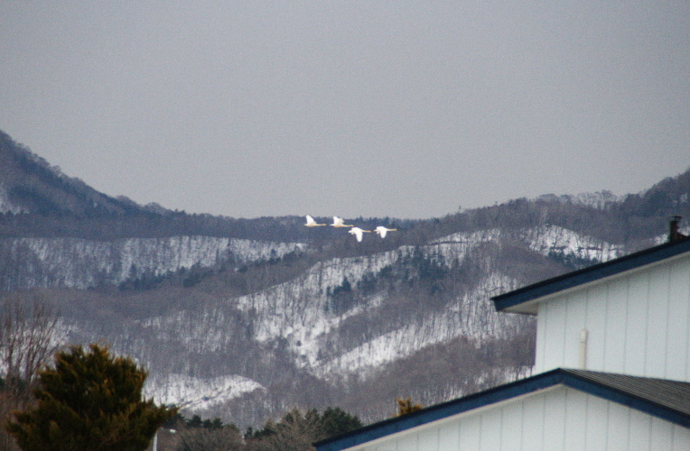 c0112479_2239282.jpg