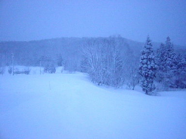 c0057781_12595647.jpg