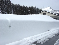 c0057781_1362331.jpg