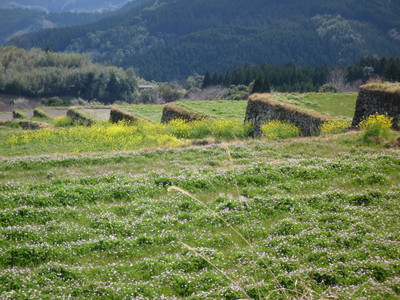 a0133493_874793.jpg