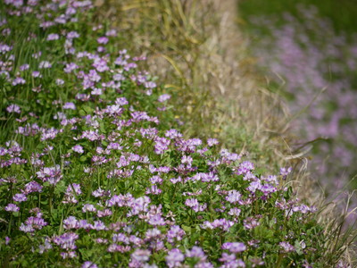 a0133493_88317.jpg