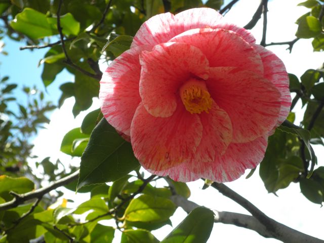f0130894_2315963.jpg