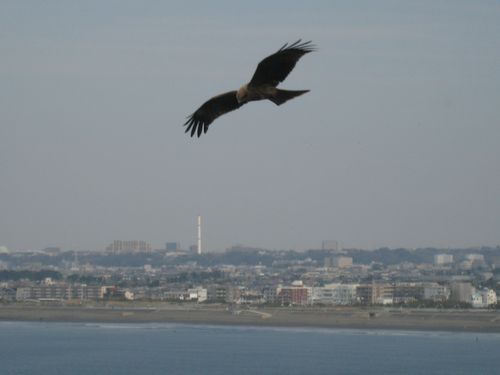 f0201297_16484924.jpg