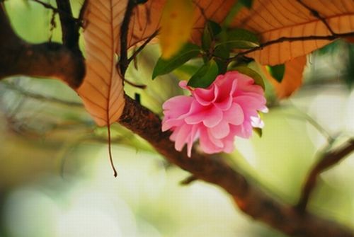 f0201297_21442676.jpg