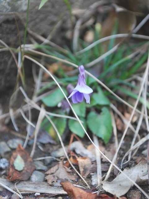 e0025300_16325293.jpg