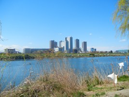 e0211806_0391557.jpg
