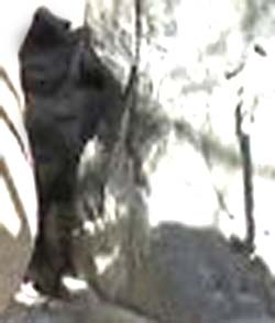 e0103408_16224127.jpg