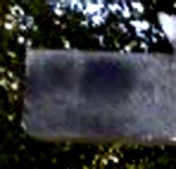 e0103408_16232649.jpg