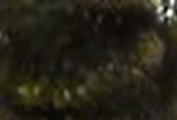 e0103408_16244561.jpg