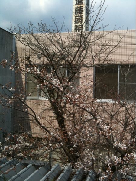 b0019909_22571817.jpg