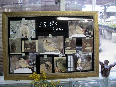 c0190010_2055451.jpg