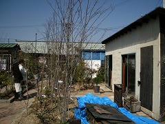 c0190010_2184775.jpg