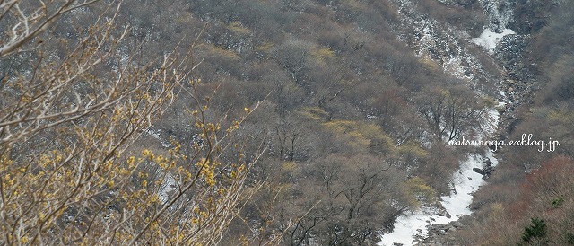 b0141916_2047251.jpg