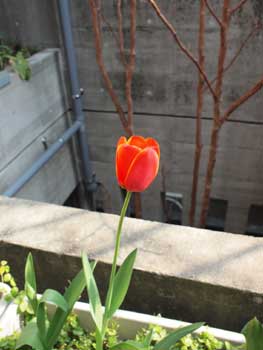 c0103119_15383541.jpg