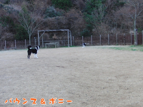e0179321_21521410.jpg