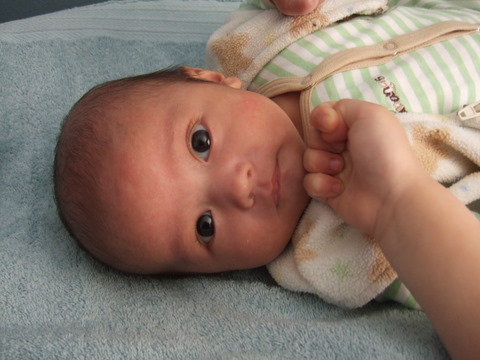 c0151122_1293716.jpg