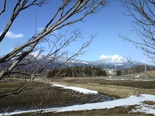 f0112124_2312062.jpg