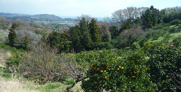 e0089826_23583436.jpg