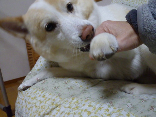 b0138430_20312388.jpg