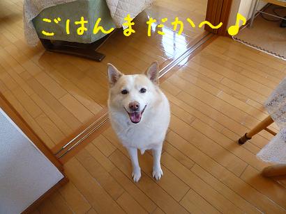 b0138430_20461897.jpg