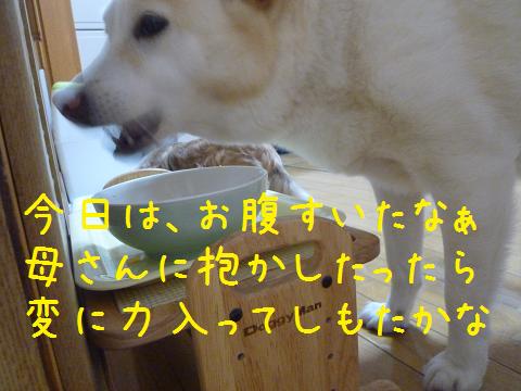 b0138430_20472329.jpg
