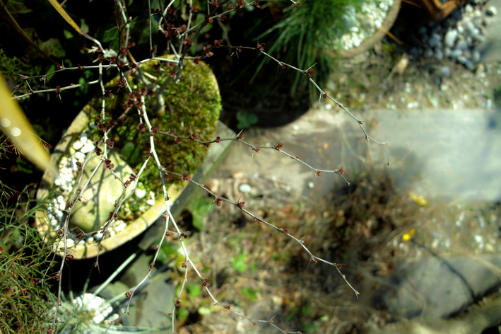 c0227239_1831920.jpg