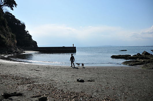 f0094843_23132221.jpg