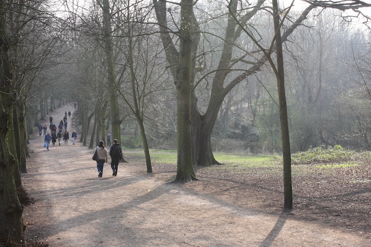 a0169844_483228.jpg