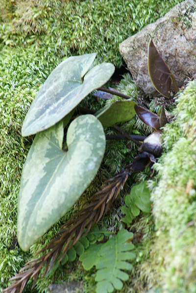 f0214649_5102327.jpg