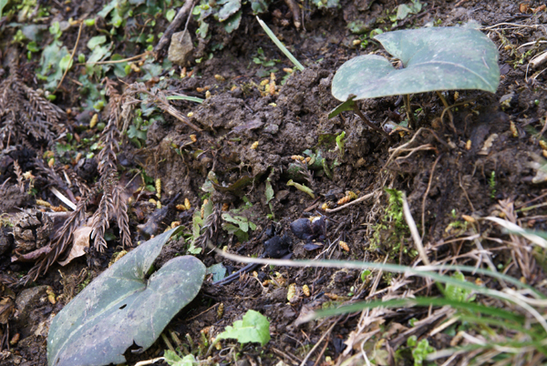 f0214649_511347.jpg