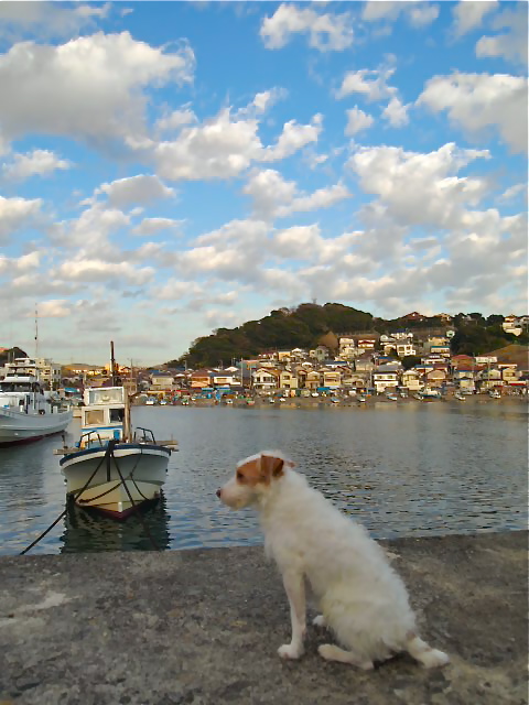 c0176250_2522629.jpg