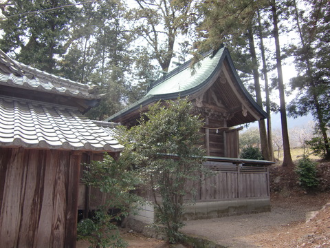 c0206352_1758196.jpg