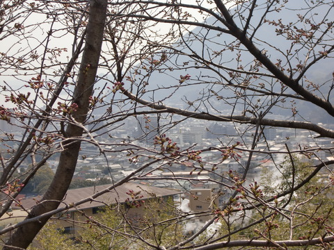 c0206352_17591748.jpg