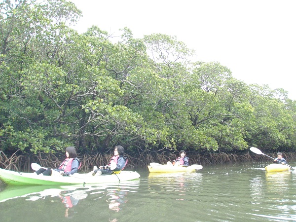 e0134752_19412725.jpg