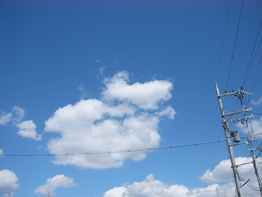 c0225153_1932176.gif