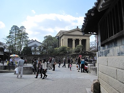 d0031853_2501851.jpg