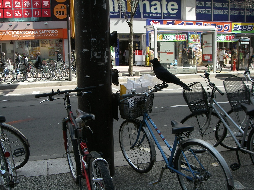a0193457_19513416.jpg