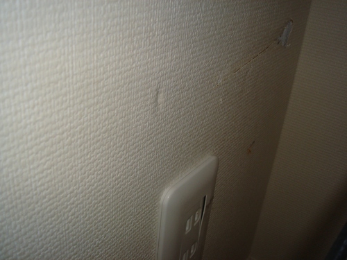 c0032257_1335754.jpg