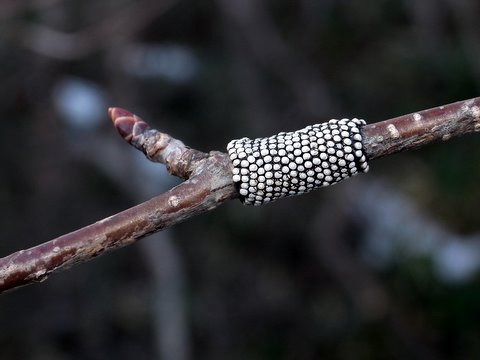 b0130166_20263058.jpg