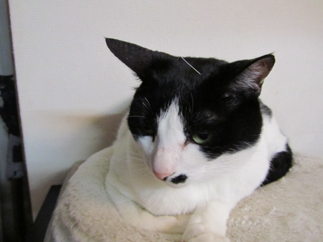 f0054677_8232171.jpg